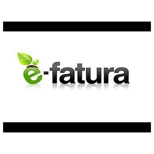  E-FATURA
